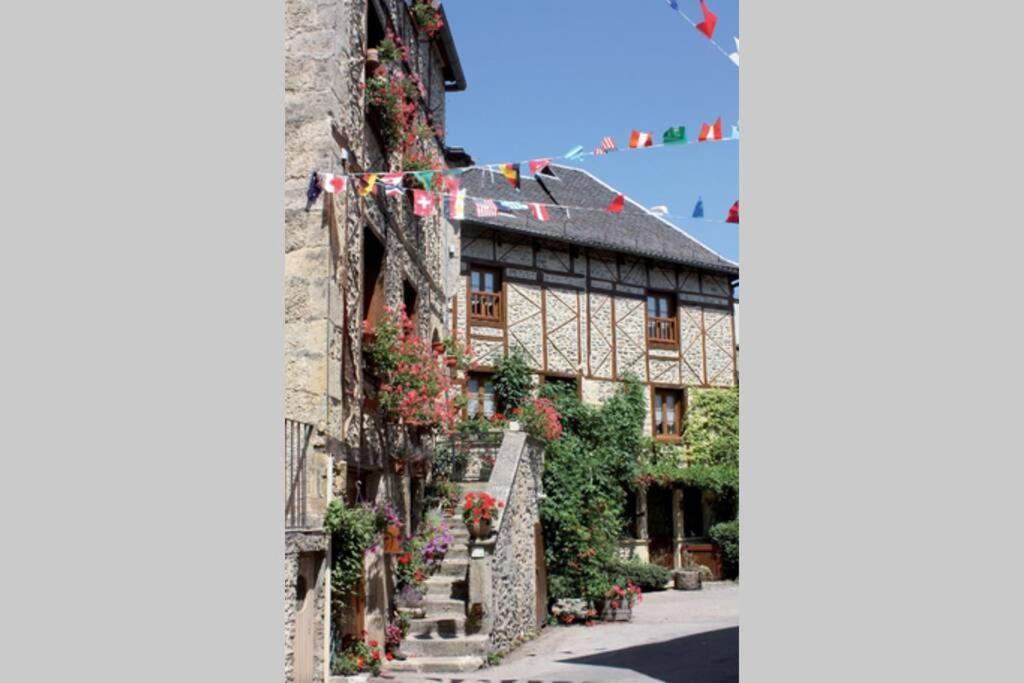 T3 duplex village geolia Saint geniez d'olt avec 2 piscines chauffée Exterior foto