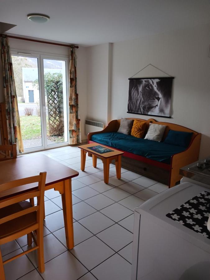 T3 duplex village geolia Saint geniez d'olt avec 2 piscines chauffée Exterior foto