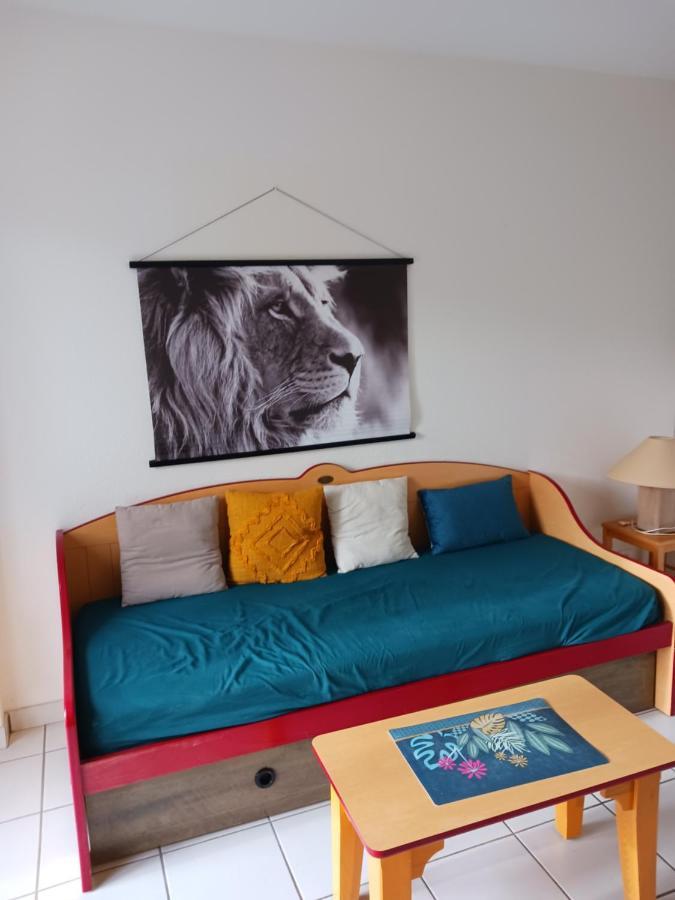 T3 duplex village geolia Saint geniez d'olt avec 2 piscines chauffée Exterior foto
